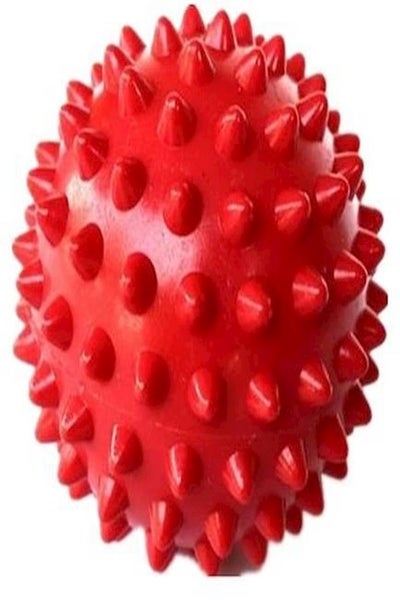 Buy Massage Ball  Color - Small in UAE