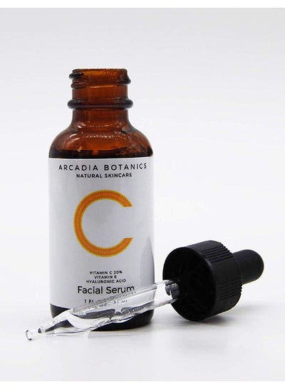 Buy Vitamin C Serum - Organic - Packed With Hyaluronic Acid, Vitamin E Oil & More - Anti Aging, Anti Wrinkle, Fades Sun Damage & Dark Spots - Good For Acne - Top Influencer in Saudi Arabia