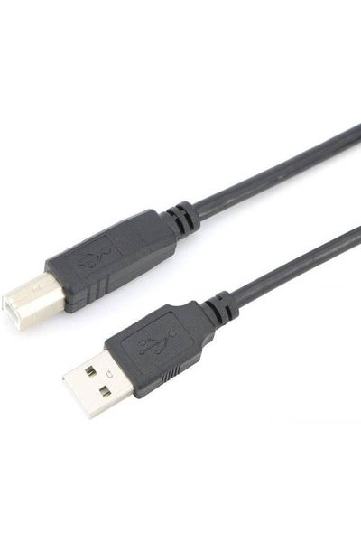 Usb A Male To B Male Cable For Printer 10feet Black Price In Uae Noon Uae Kanbkam 5987