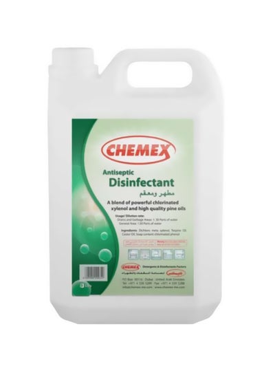 Buy Passed Antiseptic Disinfectant 5Liters in UAE