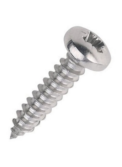 Buy Self Tapping Screw SS Phillips Pan Head 1 Multicolor in UAE