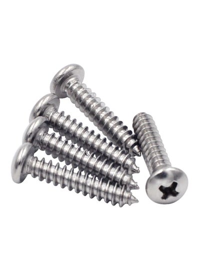 Buy Self Tapping Screw SS Phillips Pan Head 2-1/2 Multicolor in Egypt