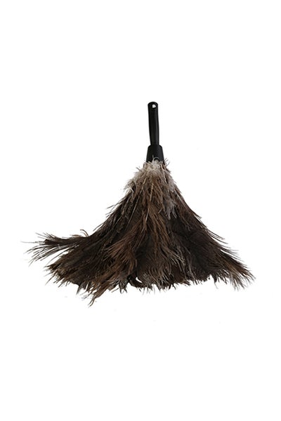 Buy Ostrich Feather Duster Brown in UAE