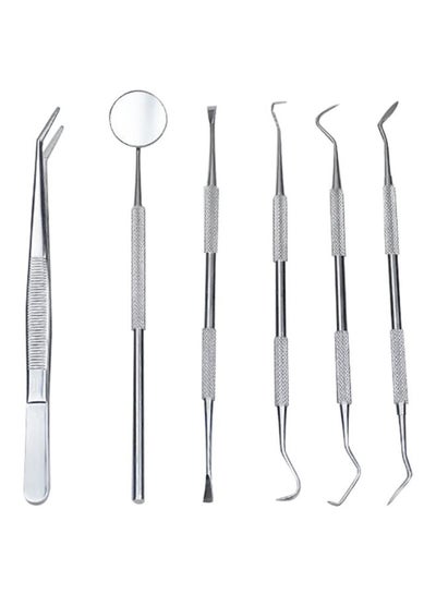 Buy 6-Piece Dental Tool Set Silver in Saudi Arabia