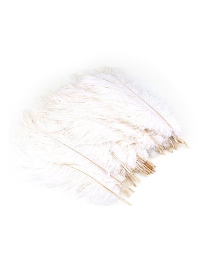 Buy 50-Piece DIY Decorative Ostrich Feathers White 25-30centimeter in Saudi Arabia