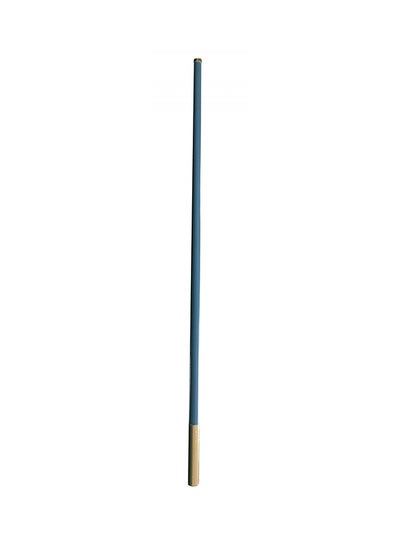 Buy Omni Directional Antenna Blue in UAE