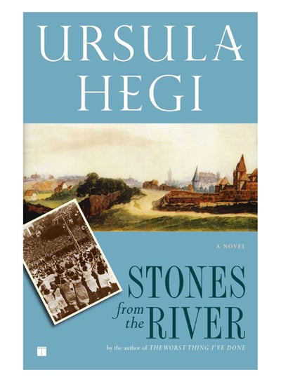 Buy Stones from the River paperback english - 35646 in UAE