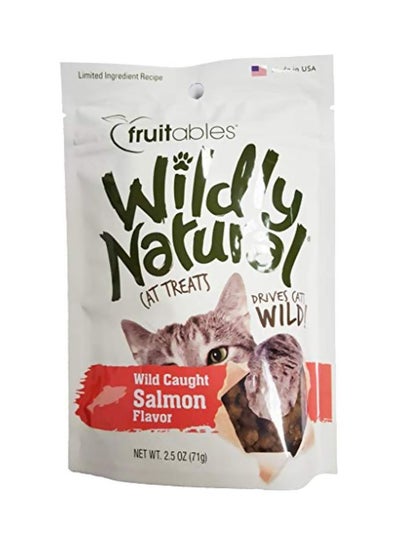 Buy Wildy Natural Cat Treats Salmon Flavour 71grams in UAE