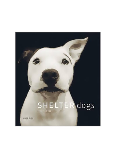 Buy Shelter Dogs hardcover english - 30-Sep-06 in Egypt