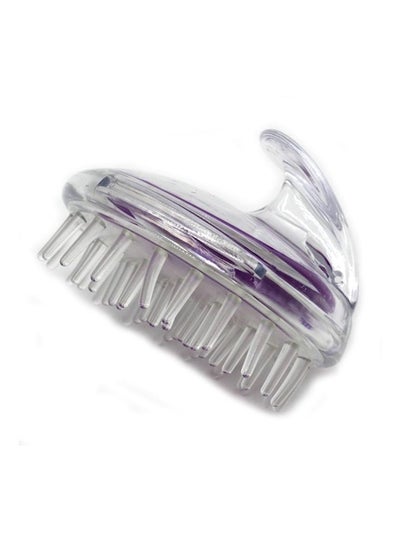 Buy Scalp Massaging Hairbrush Purple/Clear in UAE