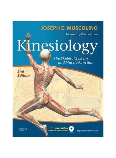 Buy Kinesiology Paperback English by Joseph E. Muscolino - 24-Sep-10 in Egypt