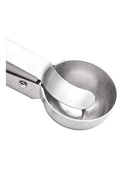 Buy Stainless Steel Spring/Trigger Ice Cream Scoop ICESCOOP04 Silver Standardcentimeter in UAE