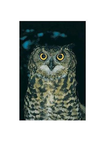 اشتري Owl Printed Decorative Wall Poster Black/Gold/Beige 34x24 سنتيمتر في مصر