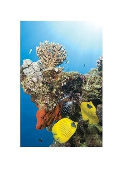 Buy Decorative Wall Poster Multicolour 34x24cm in Egypt