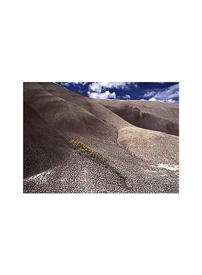 Buy Decorative Wall Poster Multicolour 24x34cm in Egypt