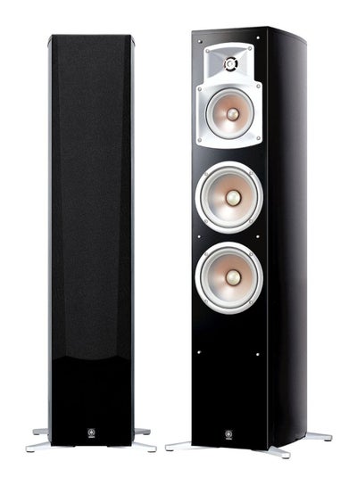 Buy Floor Standing Speaker NS-555 BLACK Black in UAE