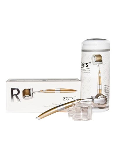 Buy Derma Face Roller Gold/Silver in Egypt