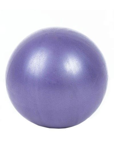 Buy Balance Yoga Fitness Pilates Exercise Ball 25 x 25 x 25cm in Egypt