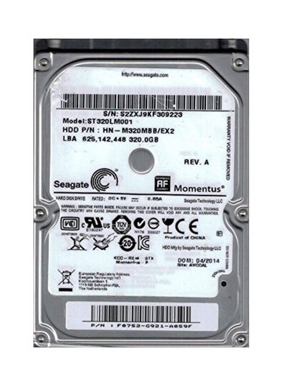 Buy Momentus HDD Internal Hard Drive Silver in UAE