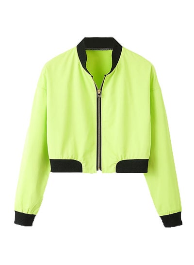 Buy Stand Collar Long Sleeve Zippered Jacket Green in UAE