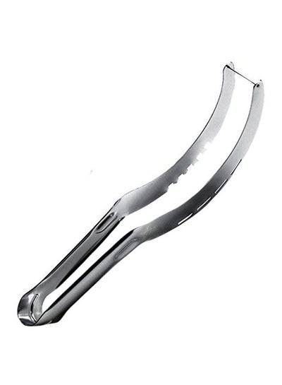 Buy Fruit Vegetable Spoon Silver in Saudi Arabia