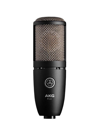 Buy High-Performance Large Diaphragm Microphone P220 Black in UAE