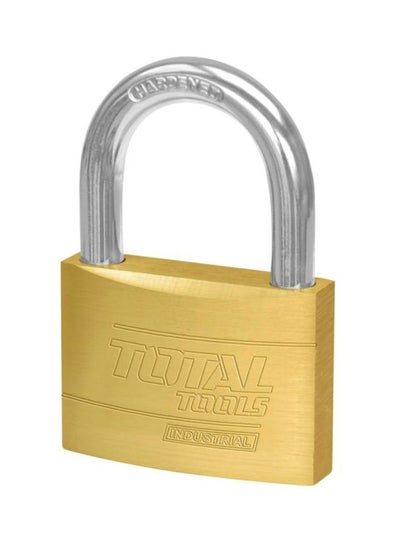 Buy Brass Padlock With 3-Piece Key Set Gold 30mm in UAE