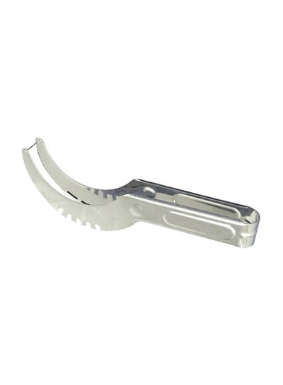 Buy Stainless Steel Watermelon Slicer Silver 200x2.5mm in Egypt