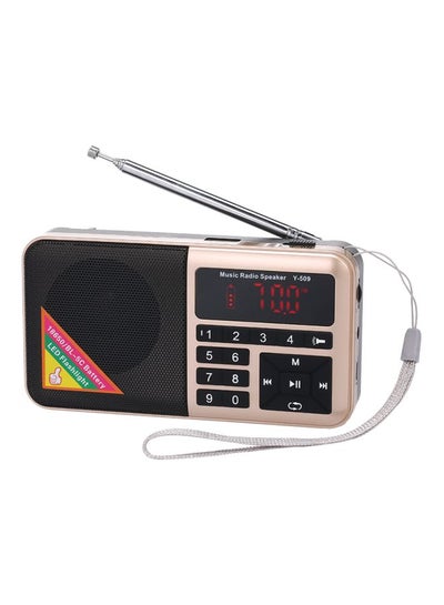 Buy FM Radio With MP3 Player Y-509 Gold/Black/Silver in UAE