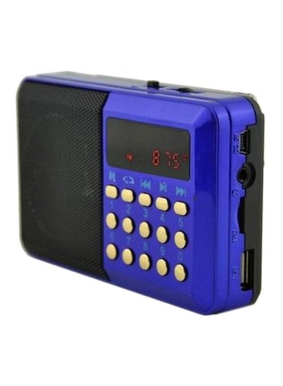 Buy Digital FM Radio AC384-Blue/JOC Blue/White in Egypt