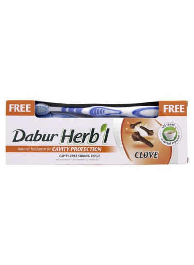Buy Herbl Clove Cavity Protection Toothpaste With Free Toothbrush Multicolour 150grams in Egypt