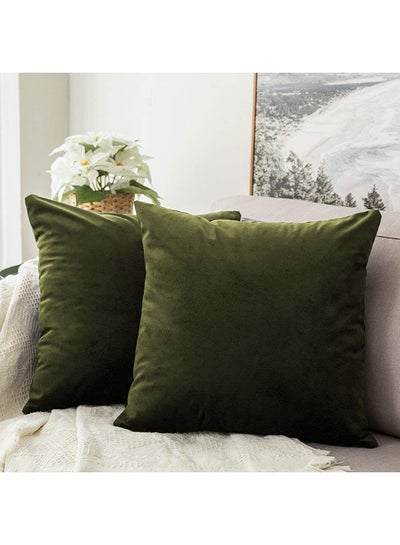 Buy 2-Piece Solid Pattern Decorative Pillow velvet Mehndi Green 40 x 40cm in Saudi Arabia