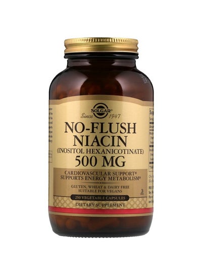 Buy No-Flush Niacin 500mg Dietary Supplement - 250 Vegetable Capsules in UAE