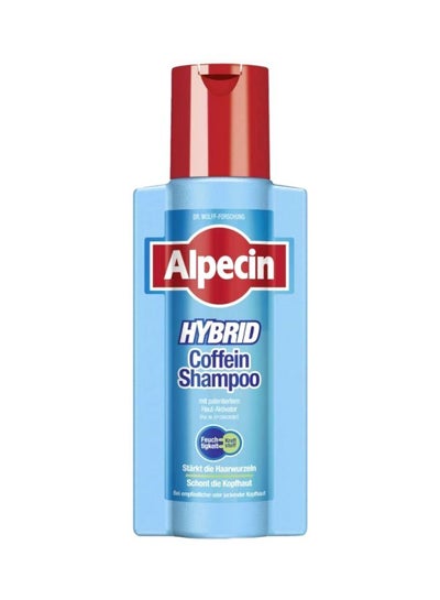 Buy Hybrid Caffeine Shampoo 250ml in Egypt