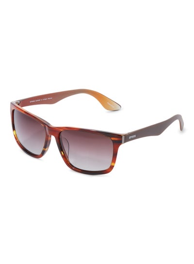 اشتري Rectangular Sunglasses CS4109 COL.40BN في الامارات