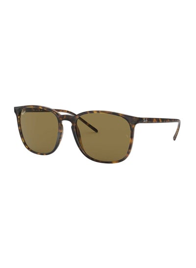 Buy Women's Square Sunglasses - RB4387 710/73 - Lens Size: 56 mm - Brown in UAE