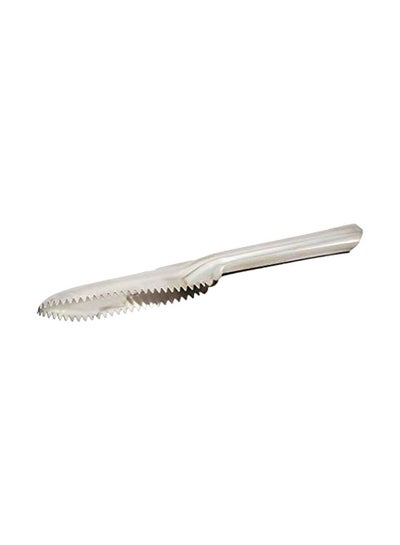 Buy Scale Peeler Silver 9.5inch in UAE