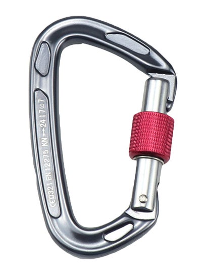 Buy Carabiner With Screw Locking Gate 10x2x6cm in UAE