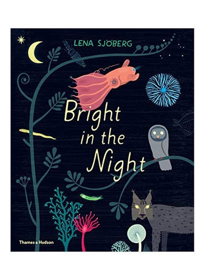 Buy Bright In The Night hardcover english - 14 January 2020 in UAE