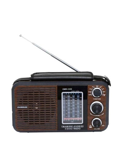 Buy Rechargeable 8 Band Radio OMR 1239 Brown/Black in Saudi Arabia