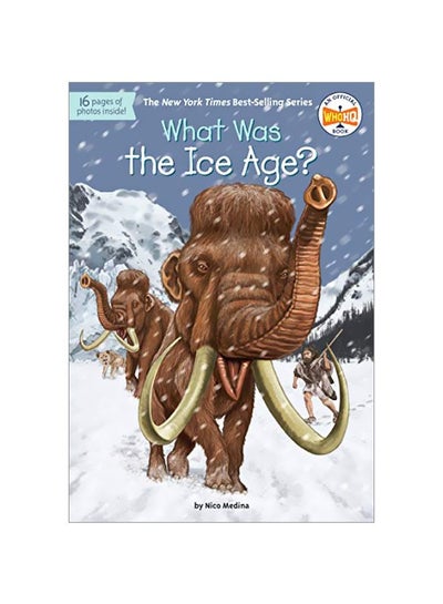 اشتري What Was The Ice Age Paperback English by Nico Medina - 10-Oct-17 في الامارات