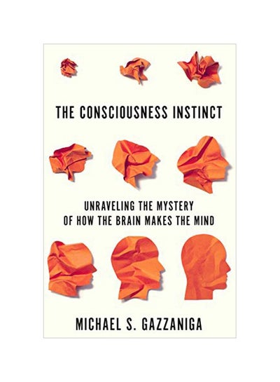 Buy Consciousness Instinct paperback english - 11-Jun-19 in UAE