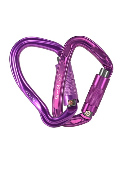 اشتري D-Shape Auto Locking Gate Carabiner 11 x 4 x 7سنتيمتر في الامارات