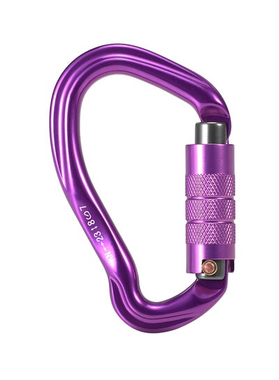 Buy D-Shape Auto Locking Gate Carabiner 10.8 x 2 x 6.7cm in UAE