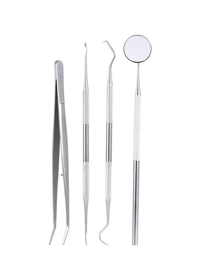 Buy 4-Piece Stainless Steel Dental Kit Silver in UAE