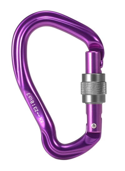 Buy Heavy Duty D Shaped Carabiner in UAE