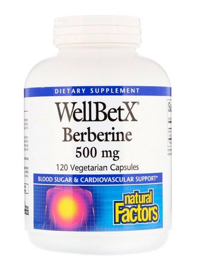 Buy WellBetX Berberine Dietary Supplement - 120 Capsules in UAE