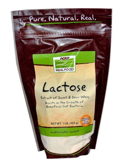 Buy Real Food Lactose Sweetener 454grams in UAE