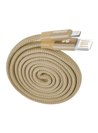Buy Coiline-I USB-A To Lighting Cable Gold in UAE
