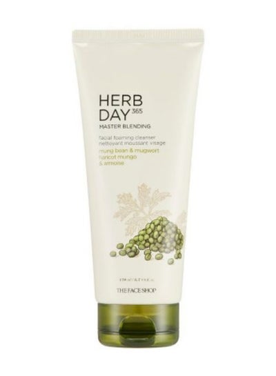 Buy Herb Day 365 Master Blending Foaming Cleanser Face Wash 170ml in UAE
